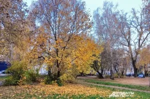 В Коми сохраняется аномальное тепло даже в Заполярье