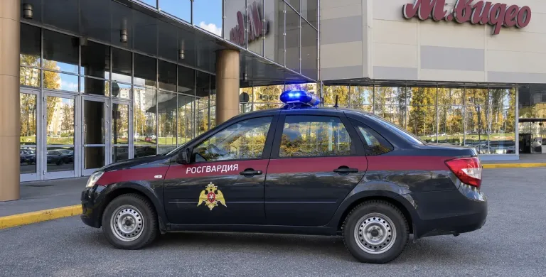 В Сыктывкаре задержали подозреваемую в краже товаров на 12 тысяч