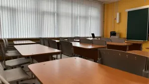 В Коми из-за ОРВИ частично приостановили занятия в школах и детсадах