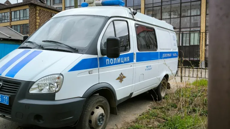 В Коми 77-летний мужчина ударил сына арматурой по голове