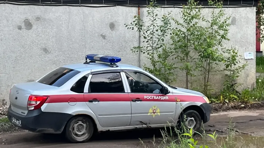 В Сыктывкаре задержали мужчину, скрывавшегося от суда